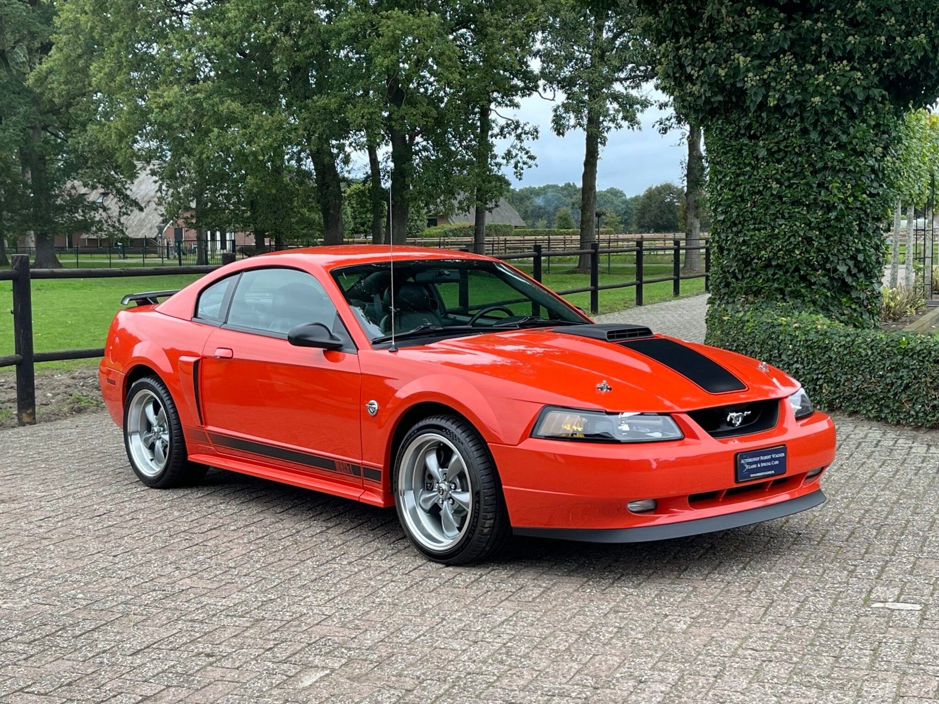 Ford MUSTANG MACH 1 , only 29000 mls, foto 1