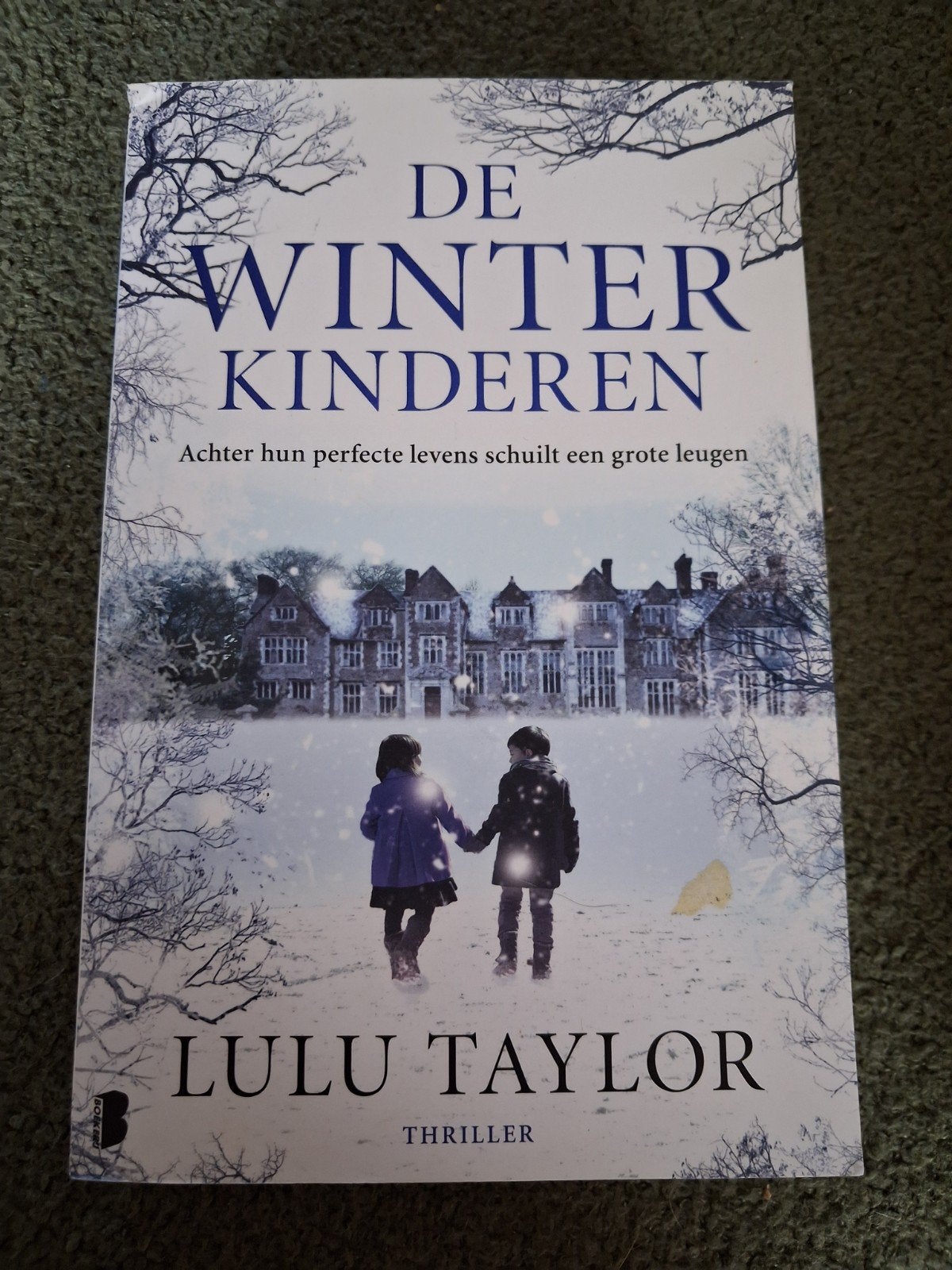 De Winterkinderen - Lulu Taylor (Thriller), Ophalen of Verzenden, Zo goed als nieuw, Lulu Taylor, Europa overig