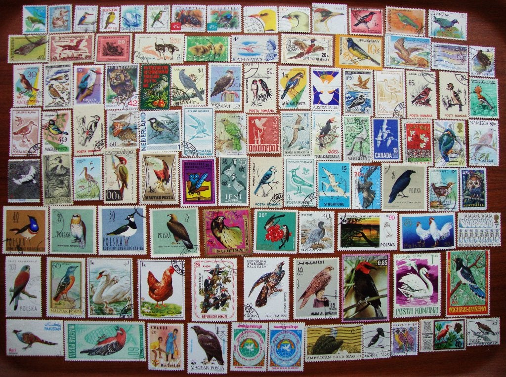 - 206 - 100 Vogels zegels. Allen verschillend., Verzenden, Gestempeld, Dier of Natuur