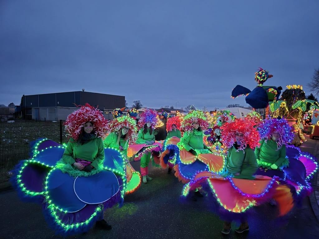 Carnavals/verkleedpakken, Tickets en Kaartjes, Eén persoon