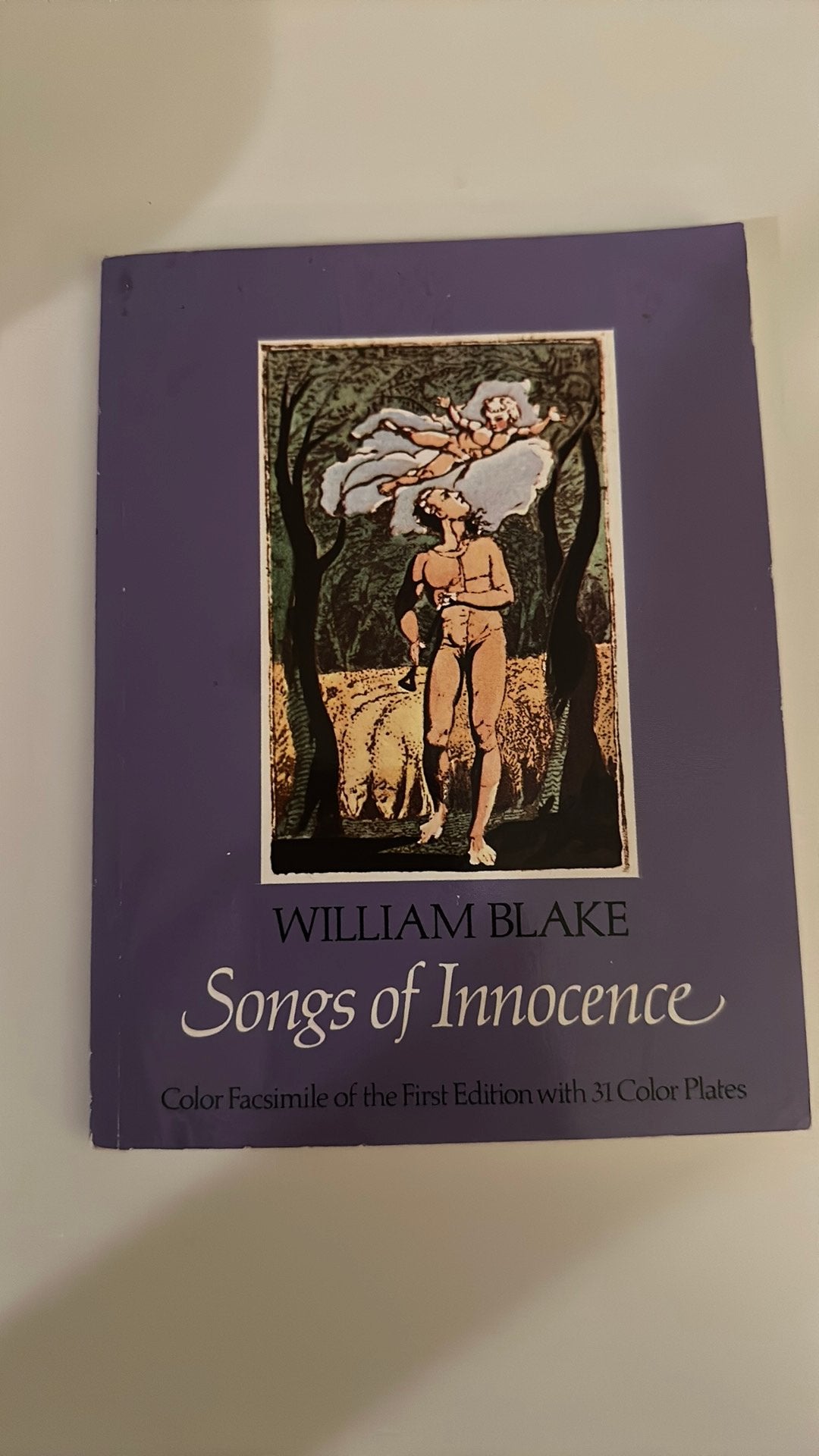 WILLIAM BLAKE - SONGS OF INNOCENCE, Boeken, Ophalen of Verzenden, Gelezen, WILLIAM BLAKE