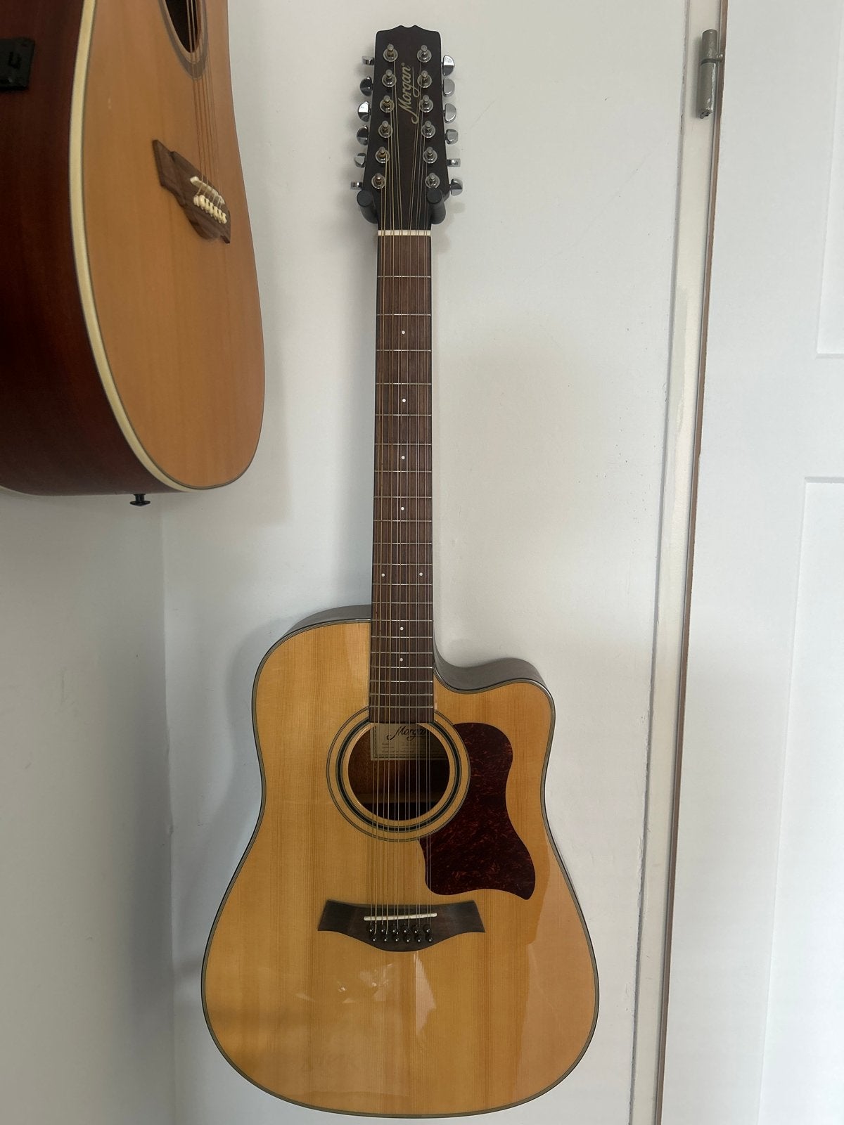 Morgan 12H116CEN 12-snarige semi-akoestische gitaar, Ophalen, Gebruikt, Western- of Steelstringgitaar, 12-snarig