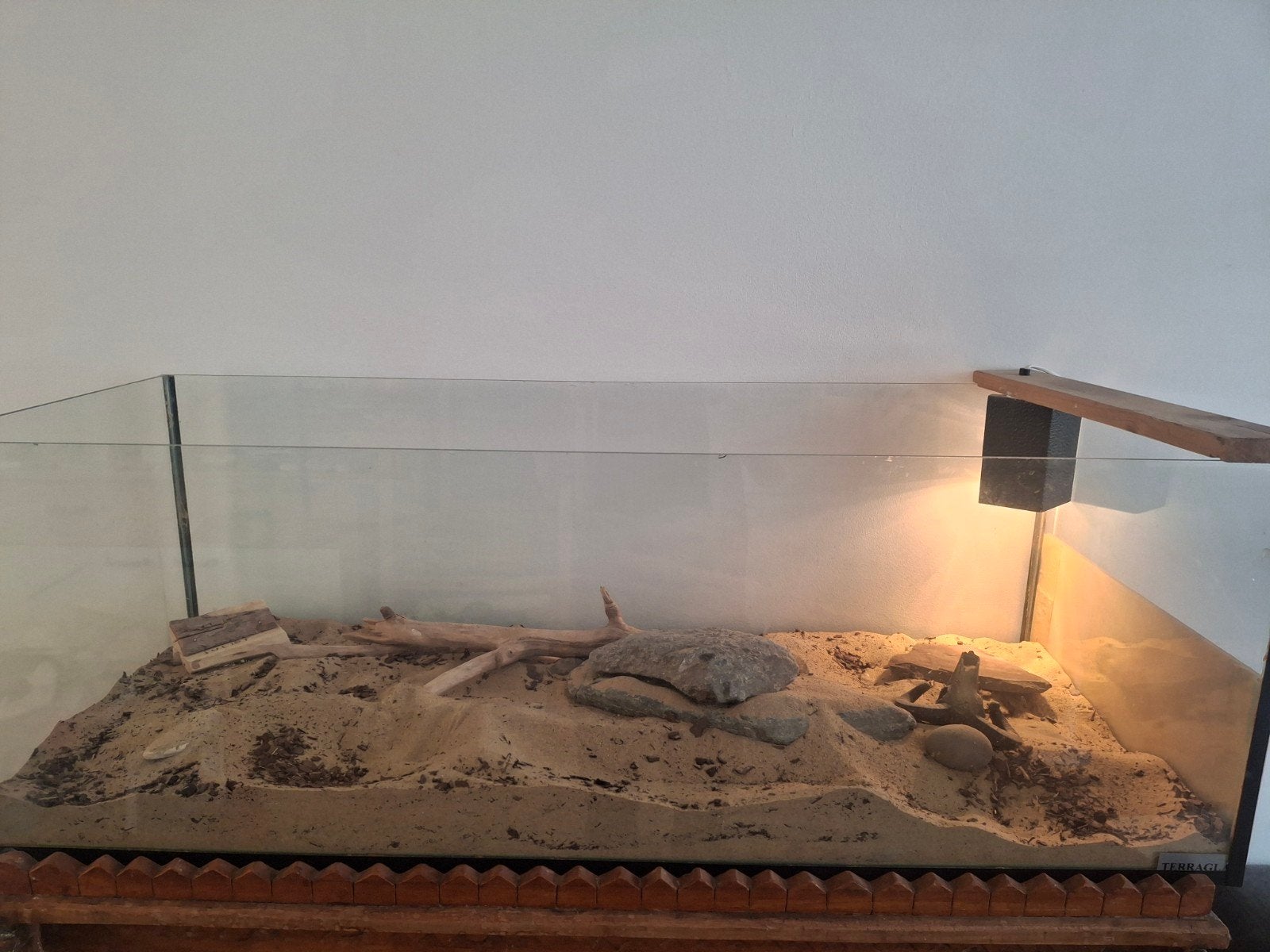 Terrarium 120×50×40, Dieren en Toebehoren, Ophalen, Gebruikt, Terrarium of Paludarium