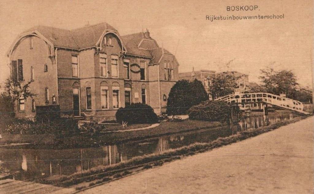 NAUTA kaarten uit A-serie 0,50 ct p.st. ONGELOPENzie nummers, Ophalen of Verzenden, Voor 1920, Ongelopen, Zuid-Holland
