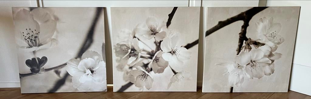 Pjatteryd canvas drieluik met bloesemprint, Ophalen, 50 tot 75 cm, 125 cm of meer, Print