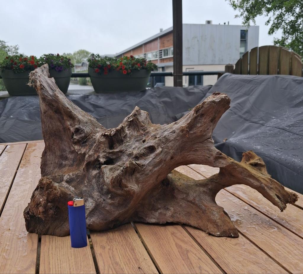 Mooi stuk kienhout, Tuin en Terras, Tuinbeelden, Ophalen