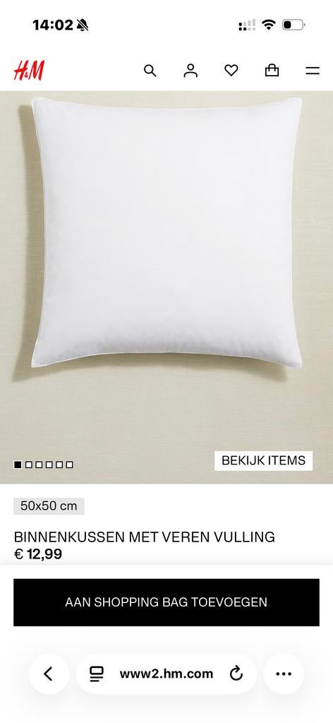 H&M home Binnenkussen met veren vulling 50x50 cm, Huis en Inrichting, Woonaccessoires | Kussens, Ophalen of Verzenden, Zo goed als nieuw