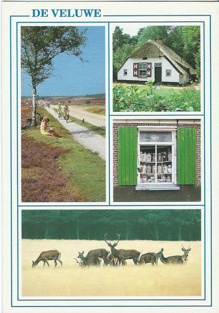 Ansichtkaart De Veluwe, Ophalen of Verzenden, 1980 tot heden, Gelopen, Gelderland