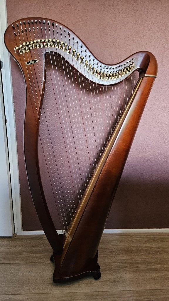 Aoyama 130DB 34-snarige harp - Volledig gereviseerd, Ophalen, Gebruikt