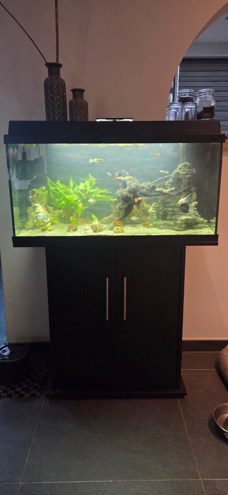 Juwel aquarium 110 liter 80 cm, Dieren en Toebehoren, Vissen | Aquaria en Toebehoren, Ophalen, Gevuld zoetwateraquarium
