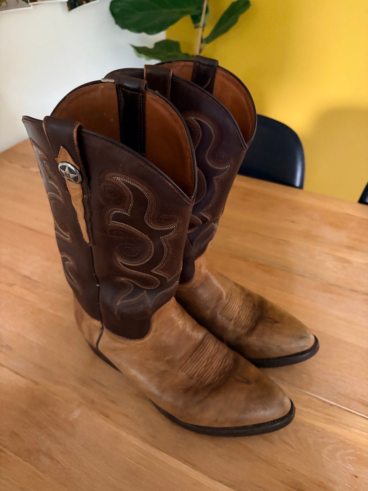 Stoere Vintage Rudy Lara cowboylaarzen - Maat 44 - 4,5, Ophalen of Verzenden, Gedragen, Bruin, Boots