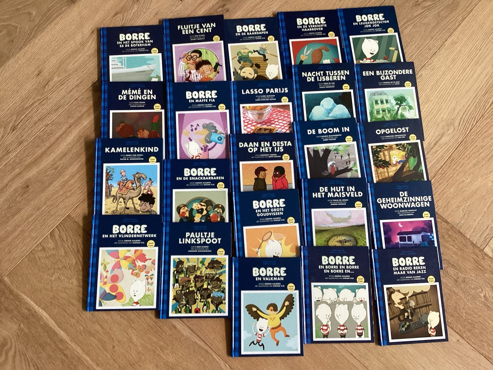 Borre boeken groep 6 - complete set 24 boeken met bewaardoos, Ophalen of Verzenden, Zo goed als nieuw, Fictie algemeen