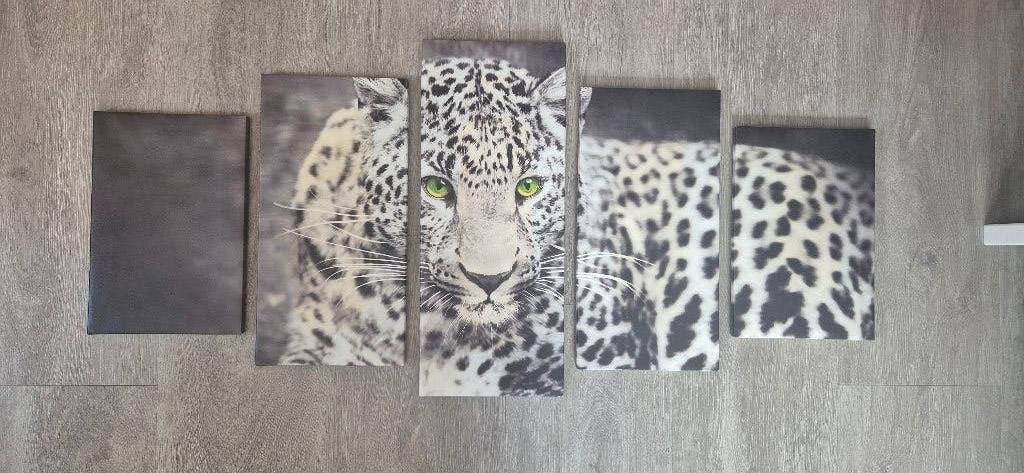 5 delig canvas panter, Ophalen of Verzenden, Op houten frame, Print, Dieren