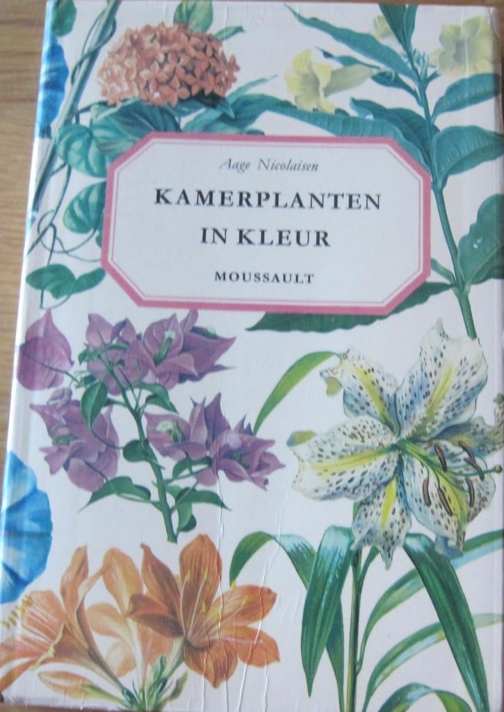 Aage Nicolaisen - Kamerplanten in kleur, Aage Nicolaisen, Ophalen of Verzenden, Zo goed als nieuw, Kamerplanten