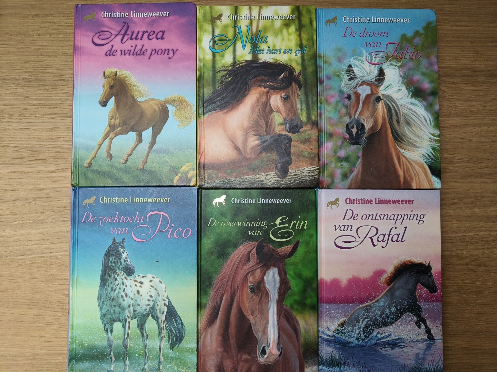 6 boeken Gouden paarden serie, Ophalen of Verzenden, Zo goed als nieuw, Christine Linneweever, Fictie algemeen