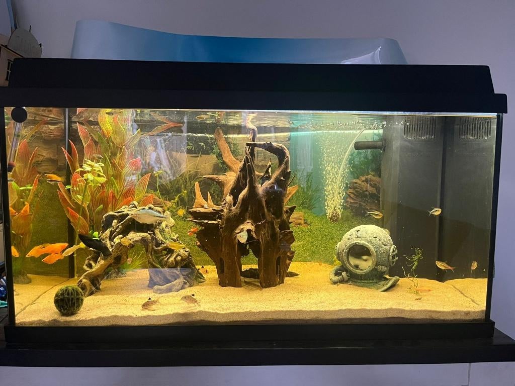 Compleet draaiend aquarium juwel primo 110 met primolux 80, Dieren en Toebehoren, Vissen | Aquaria en Toebehoren, Ophalen, Zo goed als nieuw