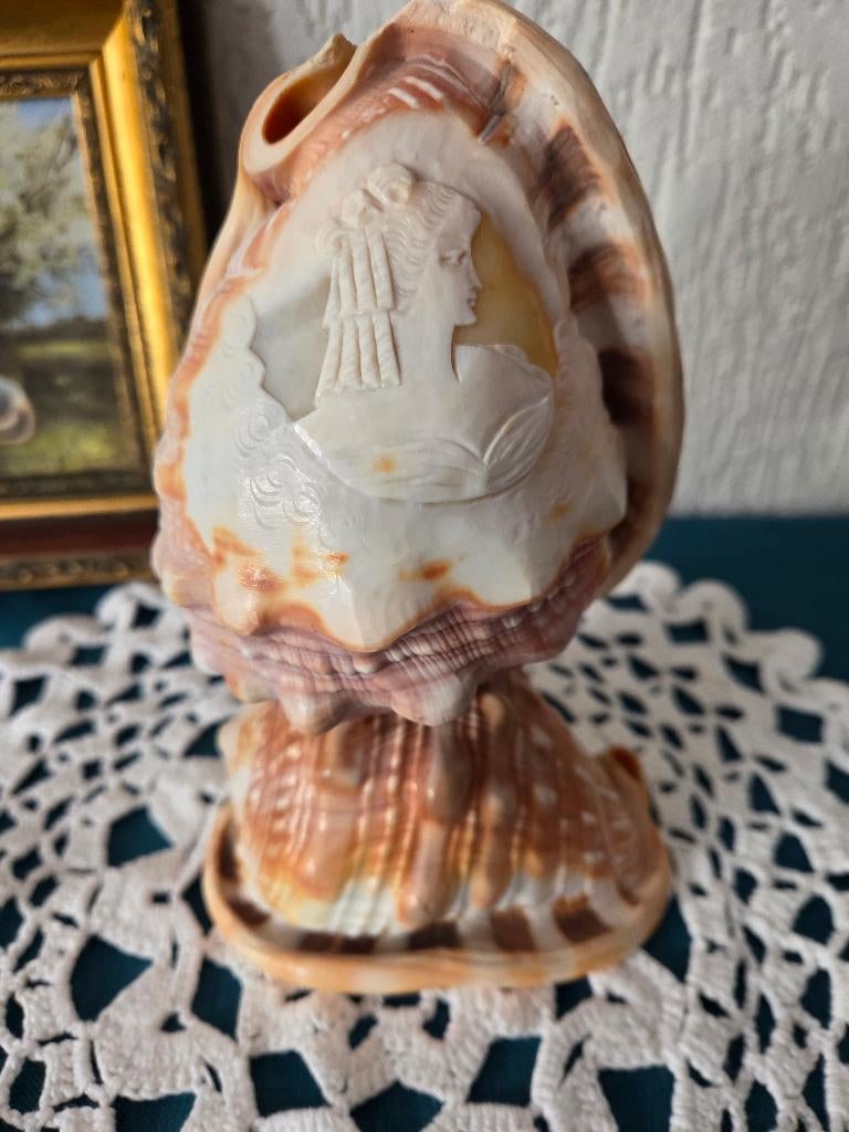 Handgesneden antieke Camee Schelp, Ophalen of Verzenden
