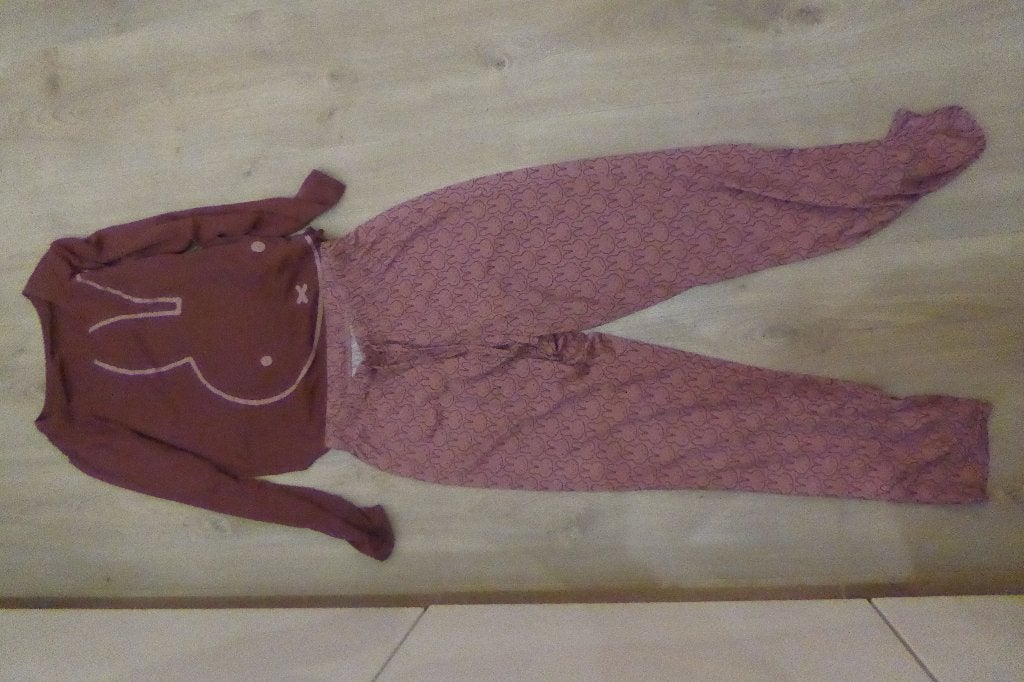 Pyjama Nijntje HEMA maat S GRATIS kleine bijdrage is fijn, Hema, Ophalen of Verzenden, Gedragen, Maat 36 (S)