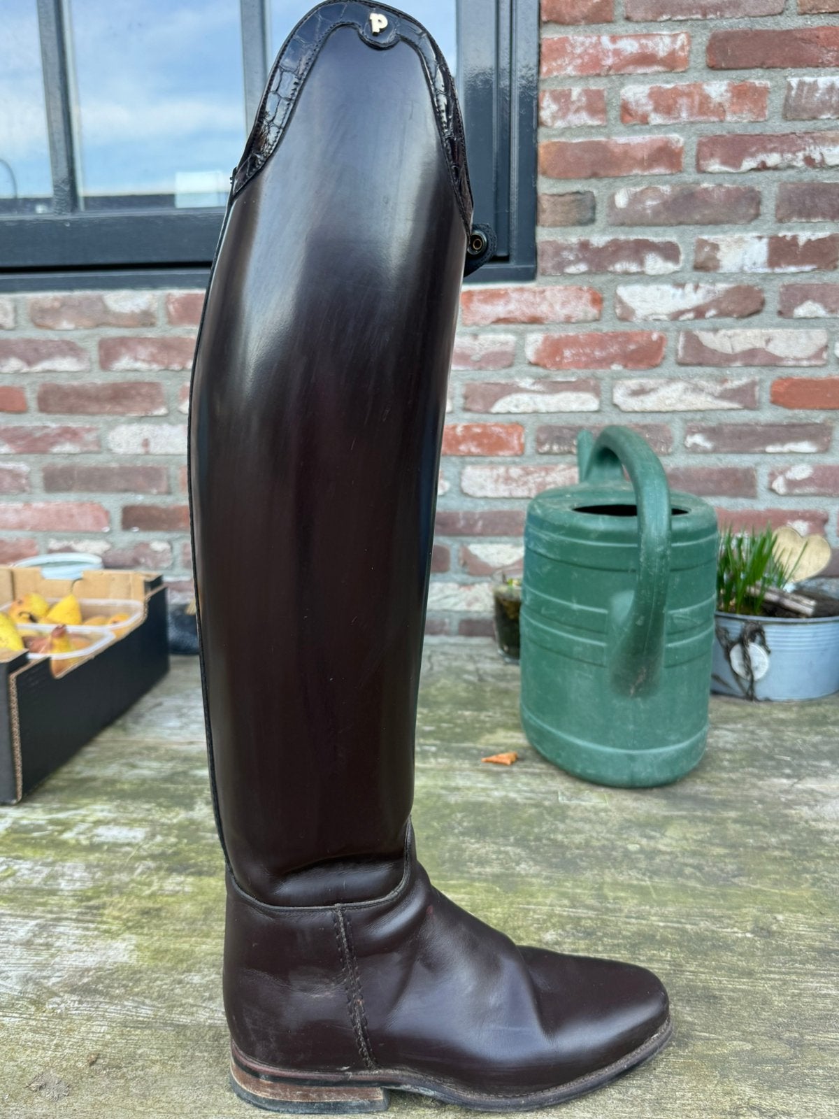 Donkerbruine Petrie laars, Ophalen of Verzenden, Zo goed als nieuw, Dressuur, Schoeisel