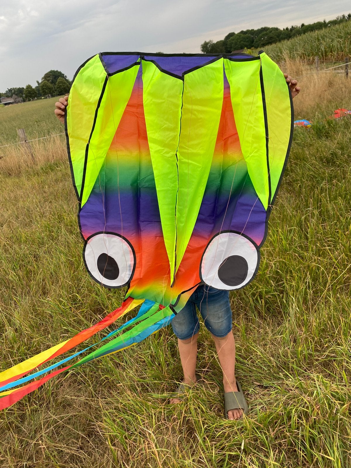 Octopus vlieger met regenboogkleuren! 80x400cm. Nieuw!, Ophalen of Verzenden, Zo goed als nieuw, Eenlijns
