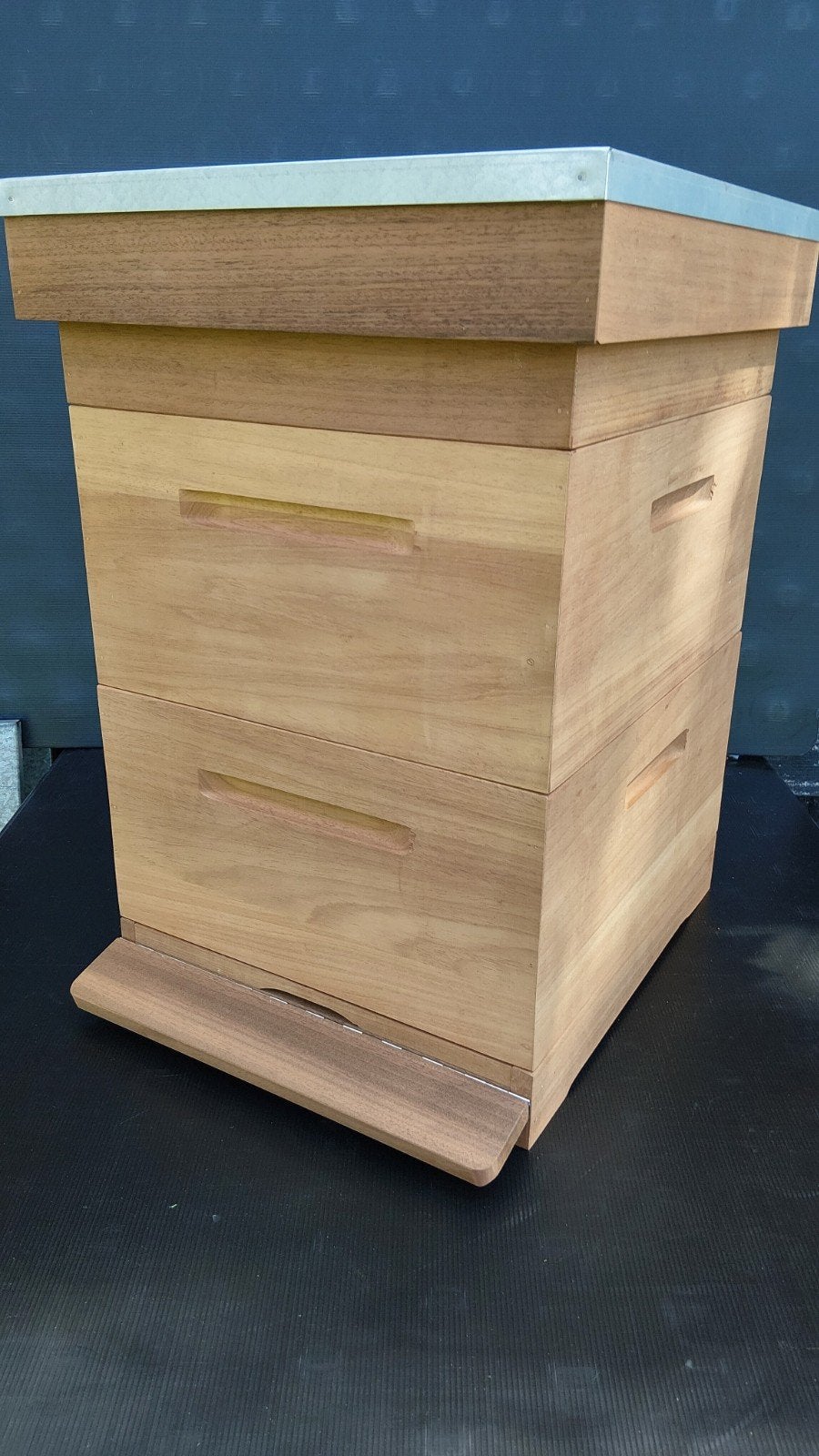 Bijenkast thermisch gemodificeerd hout, Bijen