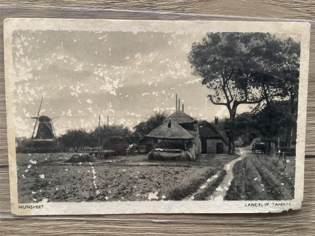 ansichtkaart Nunspeet, Ophalen of Verzenden, Ongelopen, Gelderland