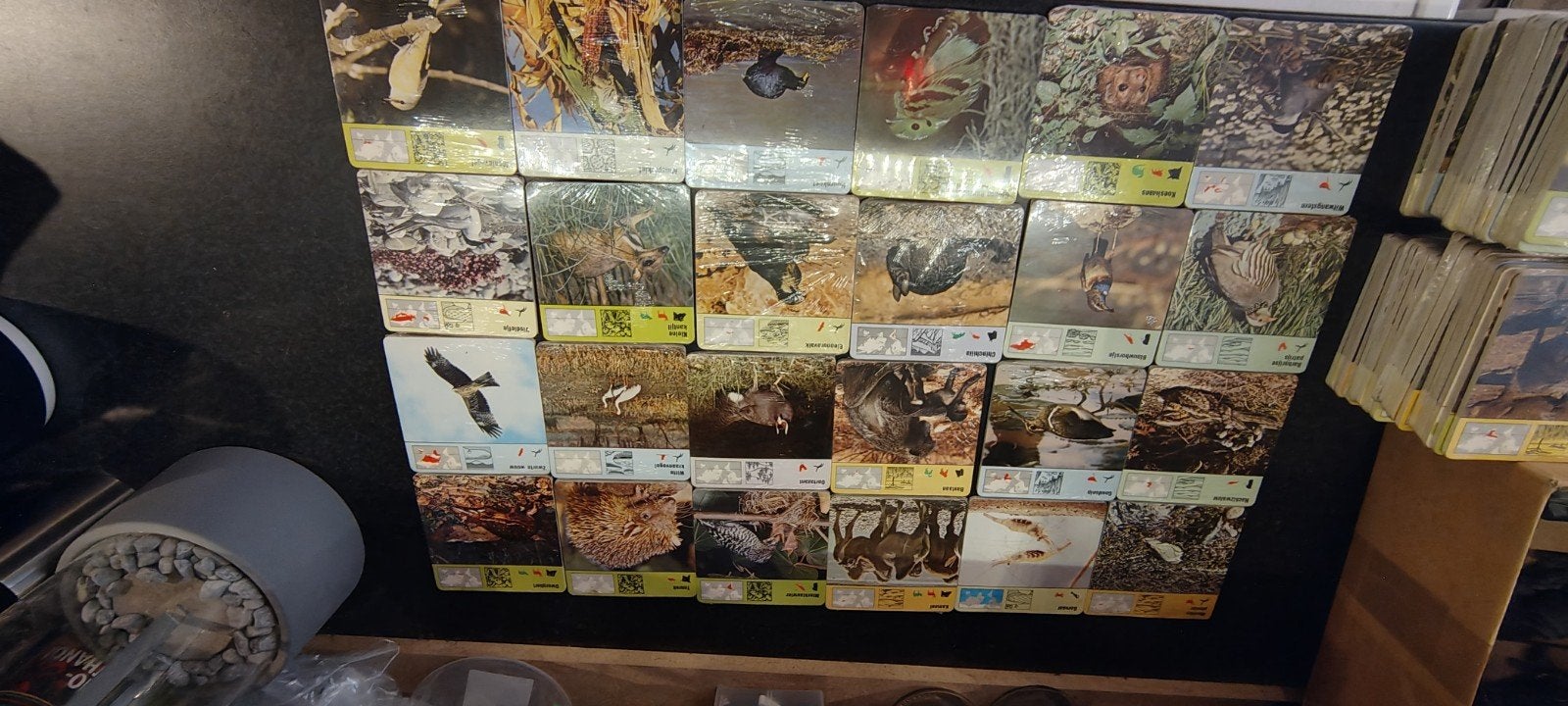 Dierenkaarten in Folie - recontre, Verzamelen, Ophalen of Verzenden, Nieuw