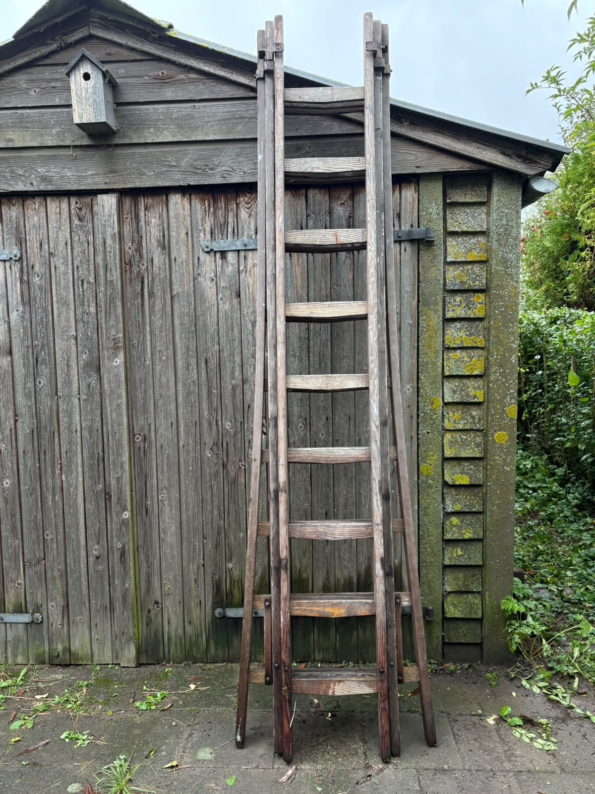 3-delige grenen houten uitschuif ladder, Ophalen, Gebruikt, Ladder, 4 meter of meer