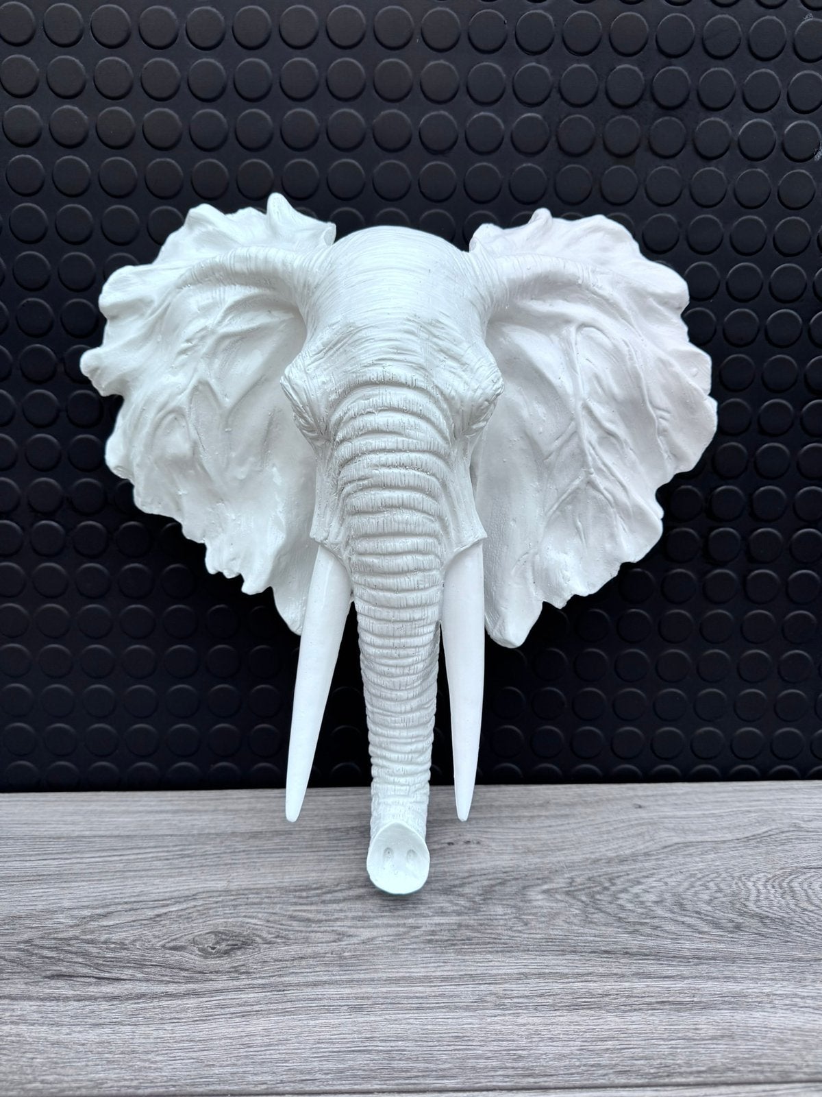 olifant voor aan de muur 40x40cm/Nieuw!, Ophalen of Verzenden, Nieuw, Dier