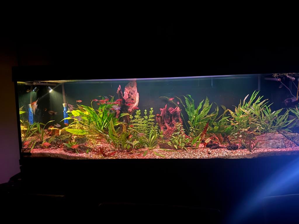 Aquatlantis 180 cm aquarium overcompleet, Ophalen, Gebruikt, Aquatlantis, Leeg aquarium