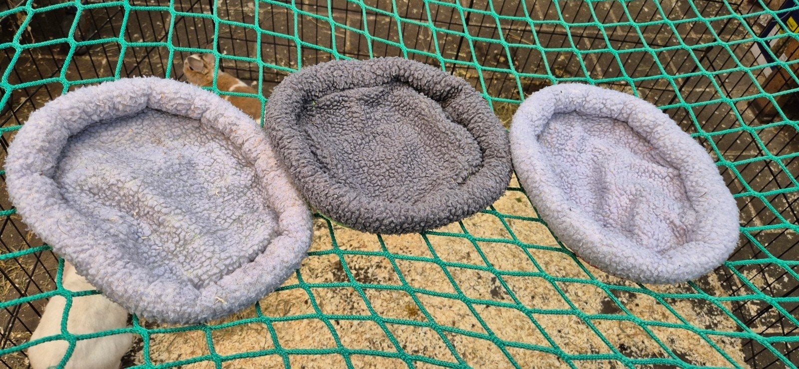 3 mandjes voor cavias, Ophalen of Verzenden