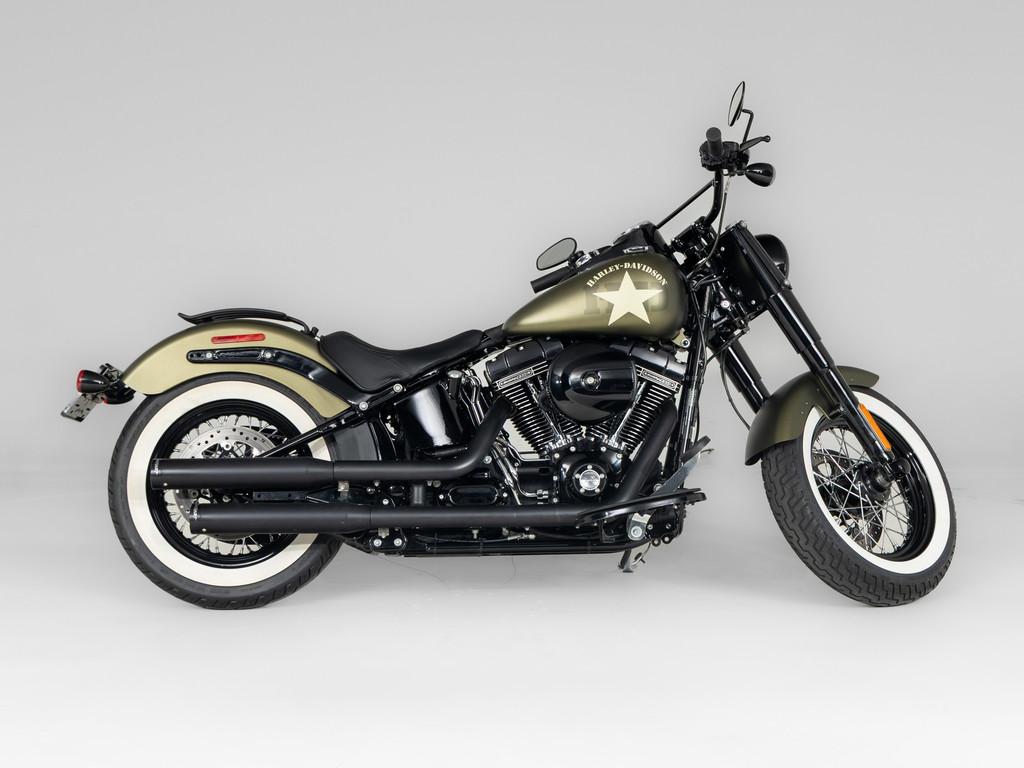 Harley-Davidson FLSS 110 Slim (bj 2016), Motoren, Motoren | Harley-Davidson, Bedrijf, Overig, Laan van Vredenoord 33
2289 DA  Rijswijk ZH, NL