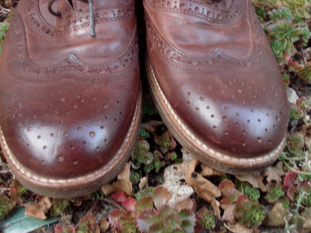RIVER WOODS ‍️😎 brogues maat 43, Kleding | Heren, Schoenen, Bruin, Verzenden, Zo goed als nieuw, River Woods