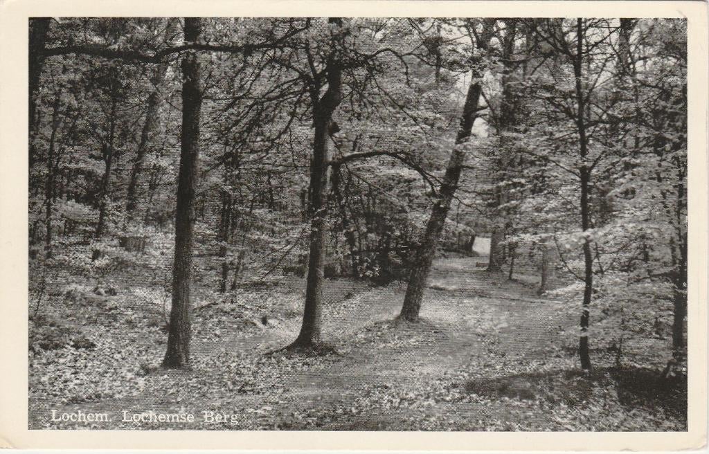 LOCHEM Lochemse Berg 1955, Verzenden, 1940 tot 1960, Gelopen, Gelderland