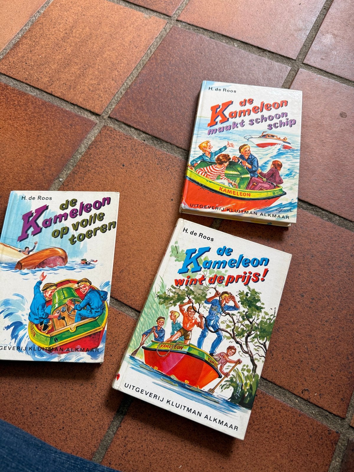 De Kameleon Boeken - H. de Roos (3 stuks), Boeken, Ophalen of Verzenden, Gelezen, Fictie algemeen
