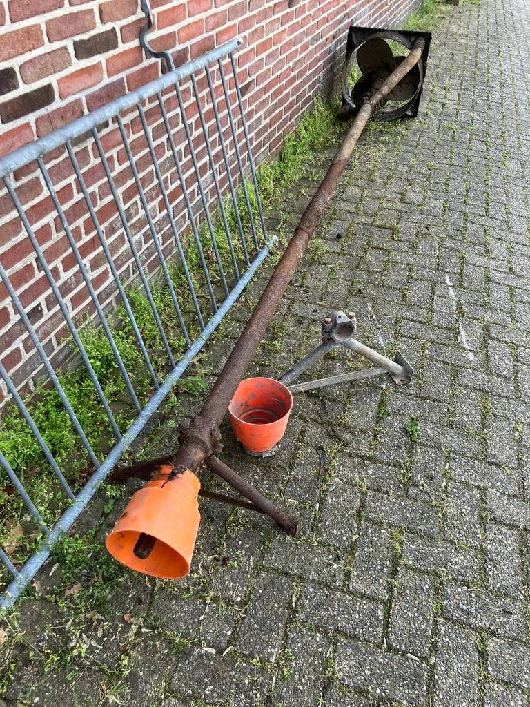 Mixer voor oa. mest., Mannelijk, Schaap