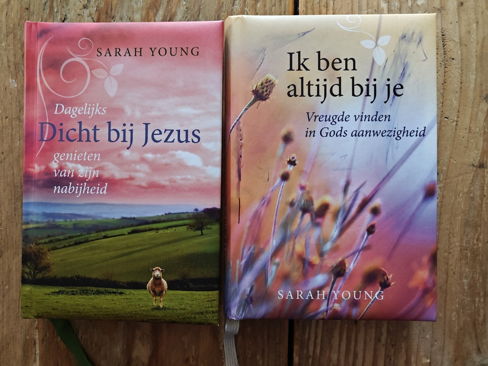2 Boeken van Sarah Young., Ophalen of Verzenden, Zo goed als nieuw