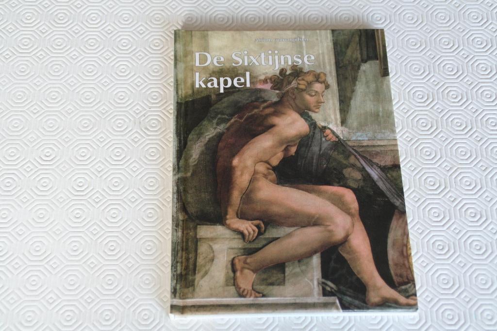 Sixtijnse Kapel, vrnl. illustrataties, Boeken, Ophalen of Verzenden, Gelezen