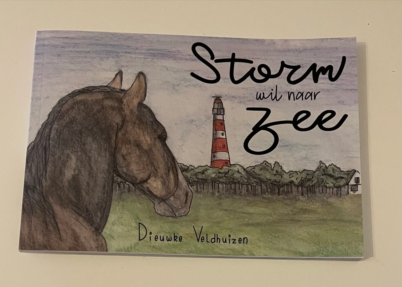 Leesboek: Storm wil naar Zee, Boeken, Ophalen, Zo goed als nieuw, Fictie algemeen