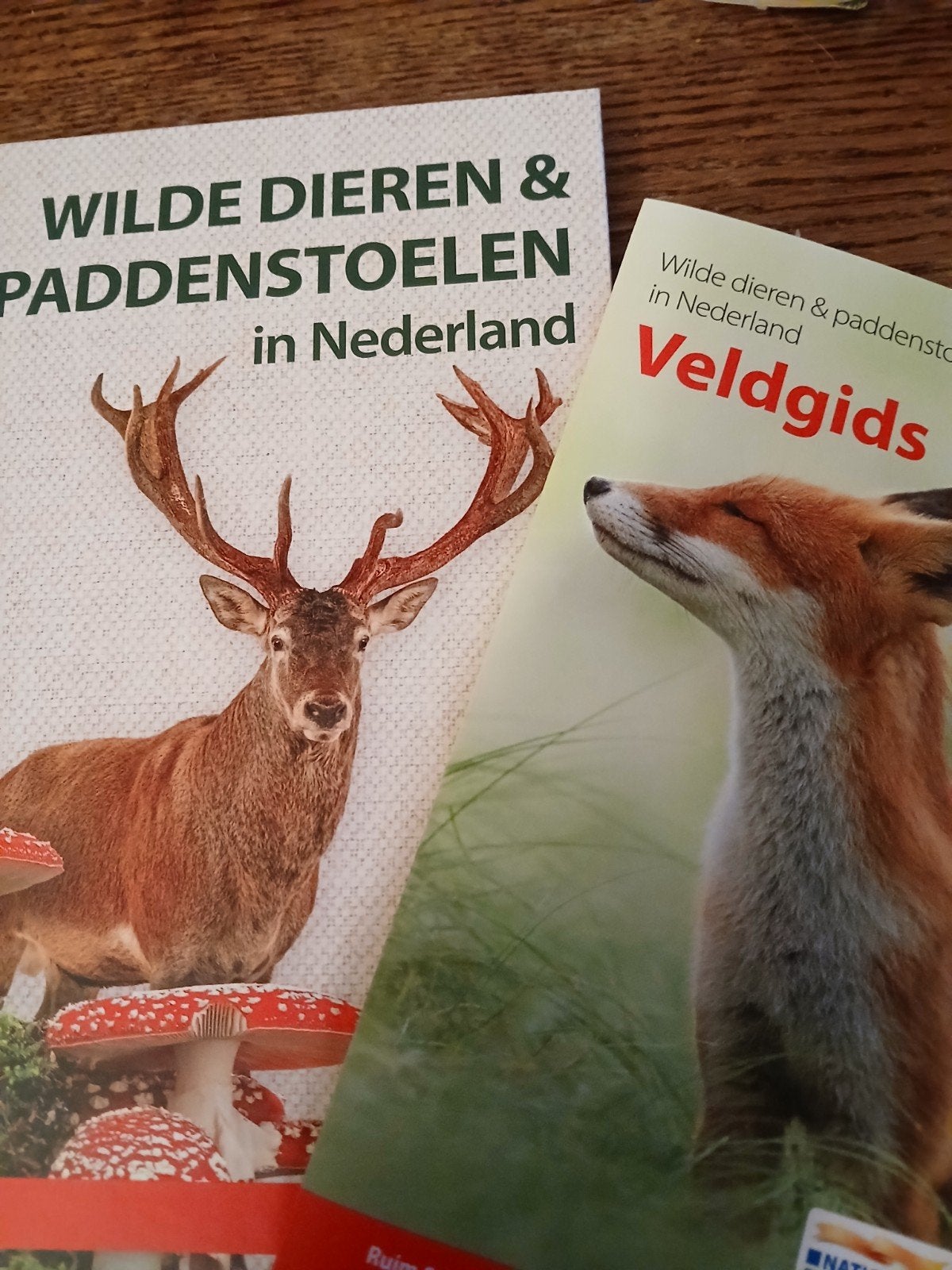 Wilde Dieren & Paddenstoelen in Nederland Veldgids, Boeken, Ophalen of Verzenden, Nieuw, Natuur algemeen