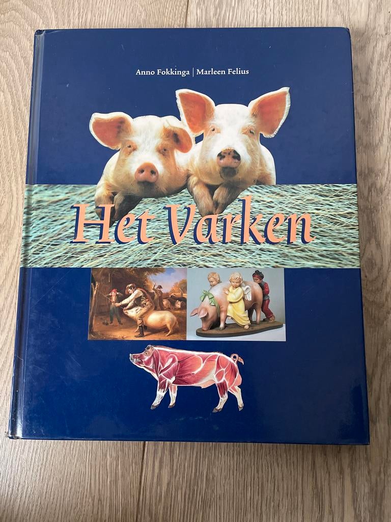 Het Varken - Anno Fokkinga & Marleen Felius, Ophalen of Verzenden, Zo goed als nieuw, Overige onderwerpen