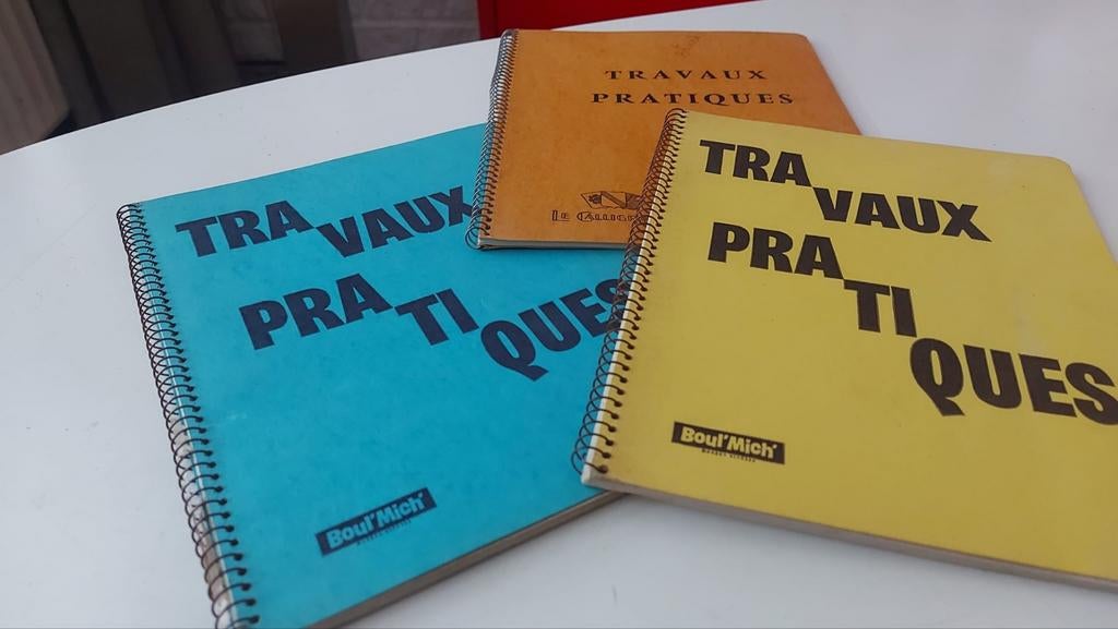 Vintage Franse schoolschriften handgeschreven 1959-1960, Ophalen of Verzenden, Gebruikt, Overige typen