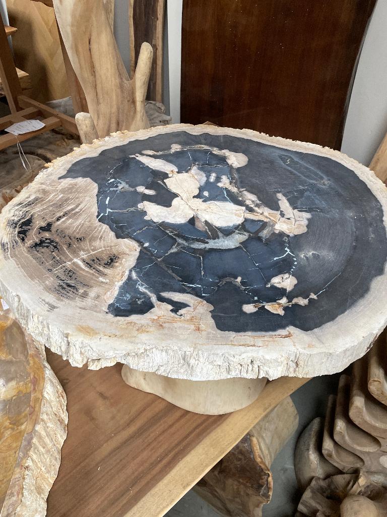 Fossiele schijven versteend hout petrified wood marmer onyx, Verzamelen, Ophalen, Fossiel