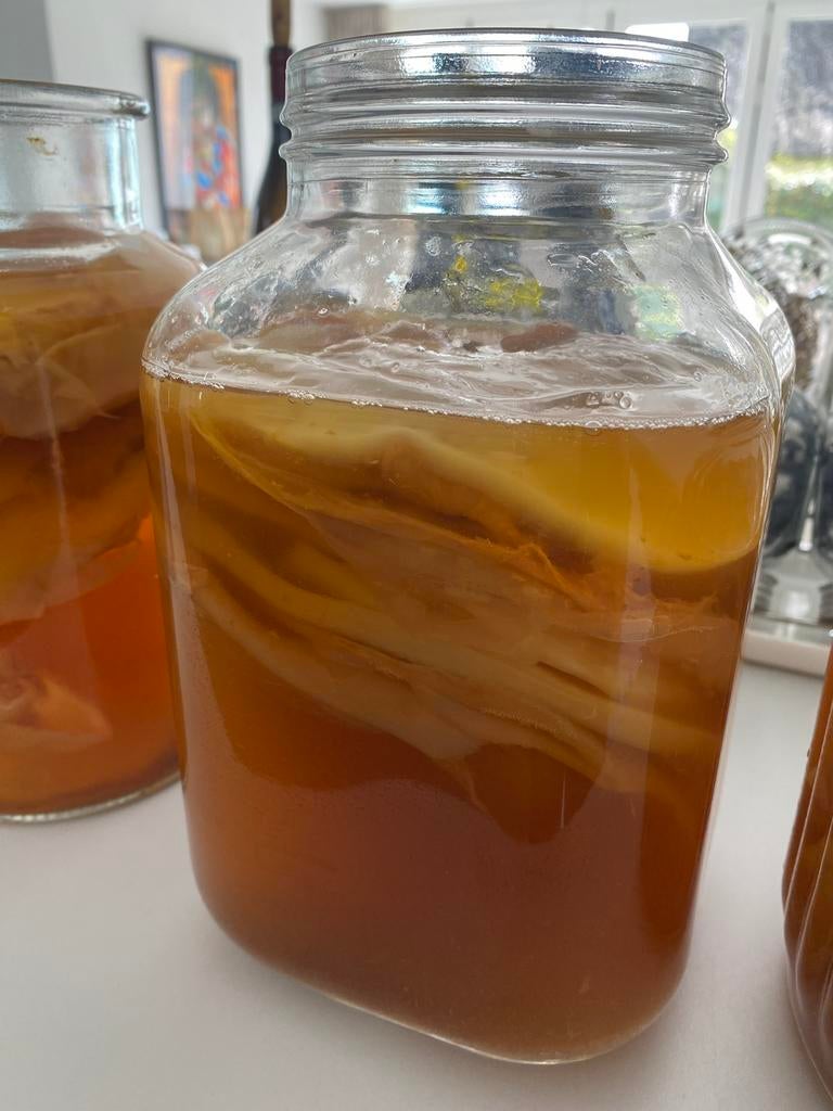 SCOBY om je eigen kombucha te maken, Ophalen
