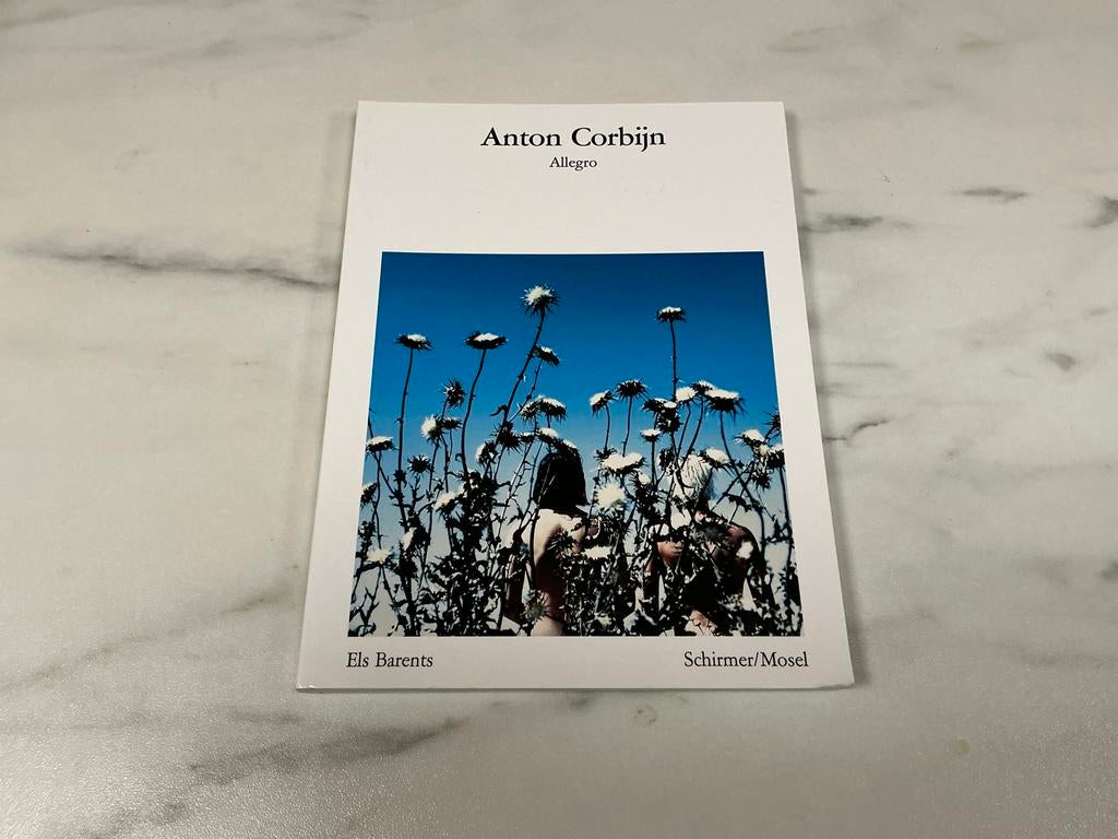 Anton Corbijn - Allegro, Boeken, Ophalen of Verzenden, Zo goed als nieuw, Fotografen