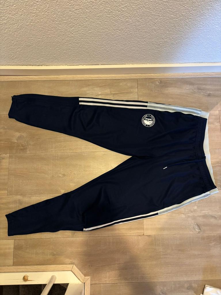 Feyenoord trainingspak, Kleding | Dames, Blauw, Maat 42/44 (L), Ophalen of Verzenden, Lang