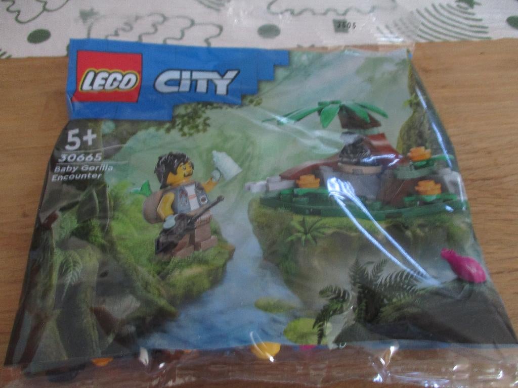 LEGO POLYBAG 30665, Ophalen of Verzenden, Nieuw, Complete set, Lego