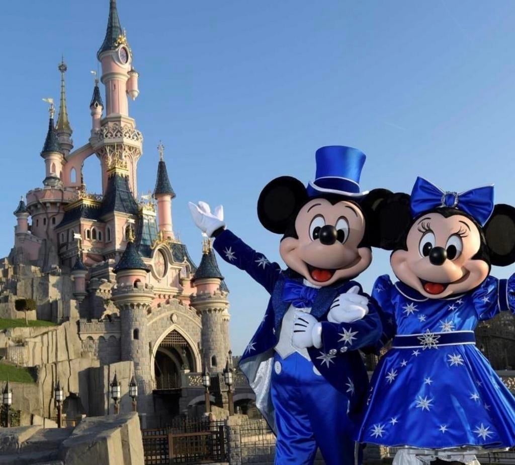 Disneyland parijs tickets 4x, Drie personen of meer, Ticket of Toegangskaart