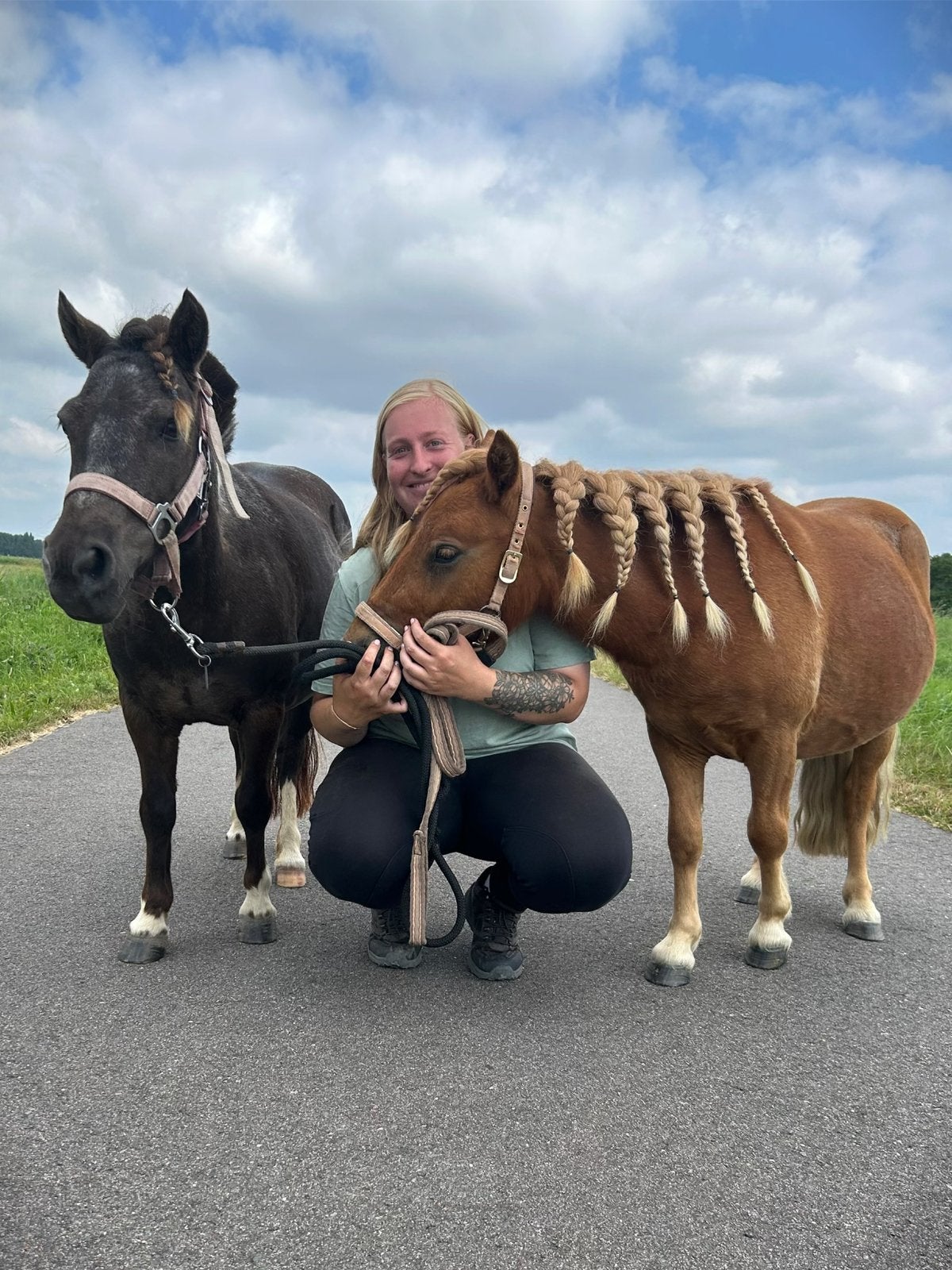 Verzorger(s) gezocht voor shetlanders, Dieren en Toebehoren, Ophalen