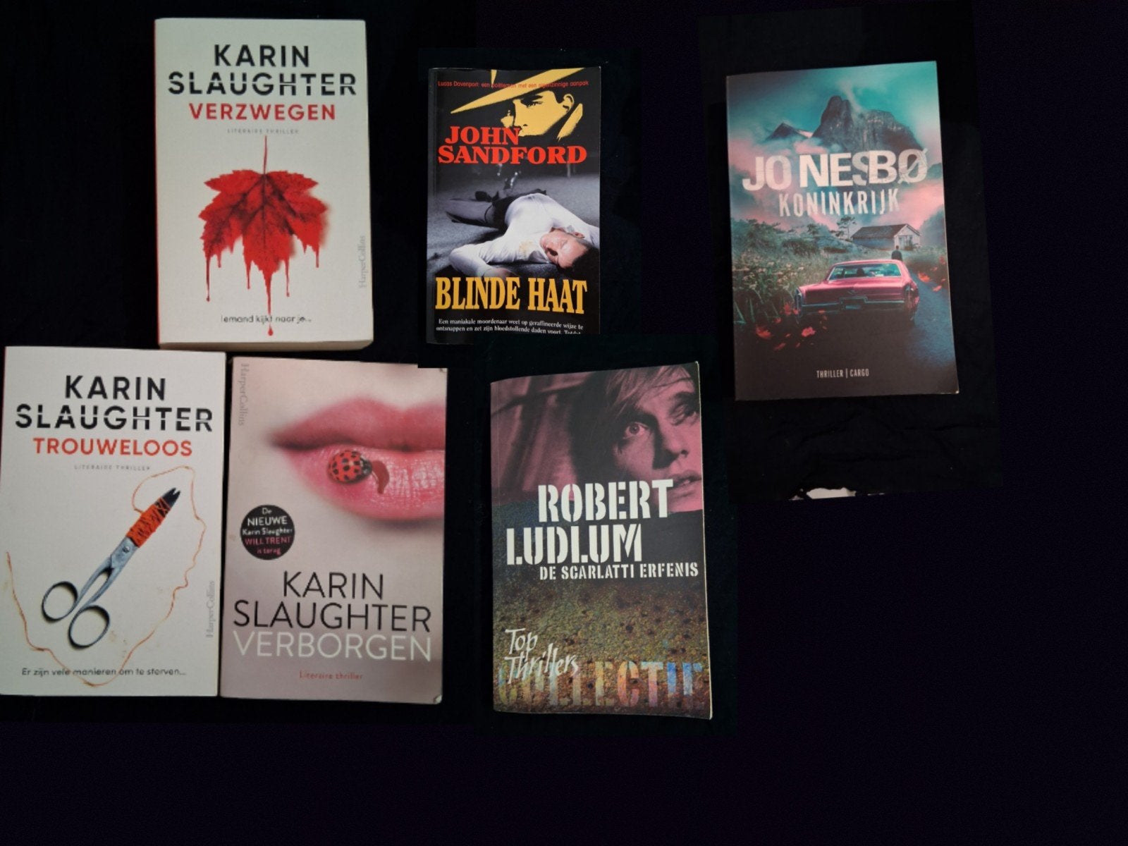 6 literaire thrillers Ludlum
Karin Slaughter John Sanfdord, Ophalen of Verzenden